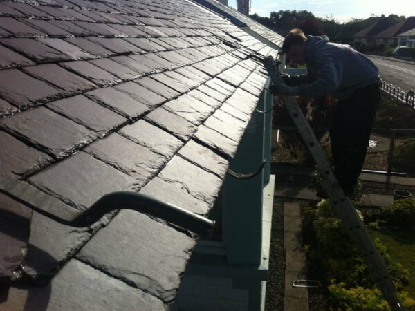 Gutter Repairs (1)