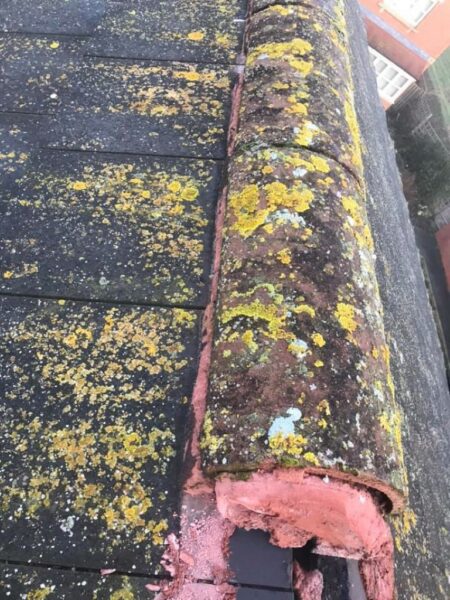 Roof Ridge Repairs In Dublin (8)